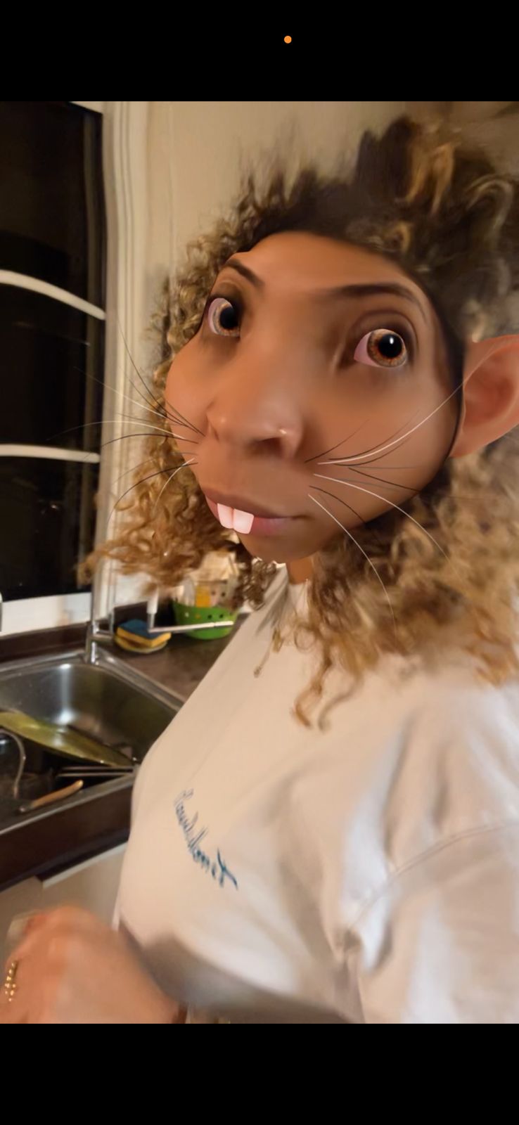 Tanaïs